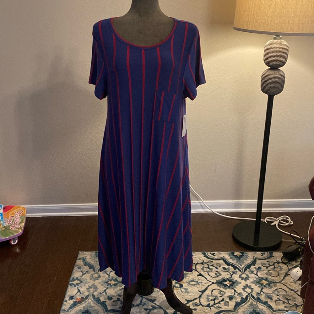 Lularoe Carly Swing Dress size L